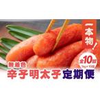 魚貝類 明太子 全10回定期便 無着色辛子明太子