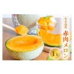 ふるさと納税 メロン メロン赤肉 沖縄県 宮古島市  とみお農園｜農家直送 宮古島産 赤肉メロン 1玉（2kg前後・糖度14度以上）2026年春発送（TN03）