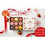 焼菓子 チョコレート プリンセス ローズ ~苺のエアリーサン…