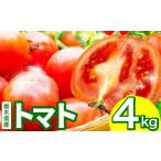 野菜類 トマト 約4kg