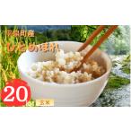 ふるさと納税 米 ひと�