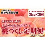 ふるさと納税 もも 福�