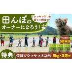 ふるさと納税 米 長崎県 対馬市 対馬 佐護 ツシマヤマネコ 米 田んぼオーナー1年券 ツシマヤマネコ米15kg付き （対馬市） 一般社団法人MIT 米作り体験 田植え …