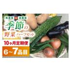 セット 詰合せ 10ヶ月定期便 身体が喜ぶ季節の野菜ハーフセ…