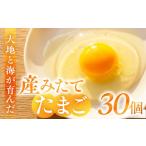 卵 鶏 烏骨鶏等 産みたてたまご 30個