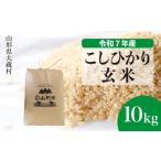ふるさと納税 玄米 山形県 大蔵村  令和7年産米 こしひかり 玄米 10kg （10kg×1袋） 配送時期選べます