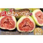 いちじく 訳あり冷凍いちじく とよみつひめ 3kg