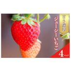 いちご 甘さ濃厚 ジューシーいちご 4パック