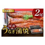 ショッピングうなぎ 蒲焼き 国内産 送料無料 ふるさと納税 うなぎ 徳島県 北島町 うなぎ 国産 うなぎ蒲焼き 2尾 モリカン 徳島県 北島町 29bh0001 ウナギ 鰻 unagi うなぎ蒲焼 真空パック 真空 パック 冷…
