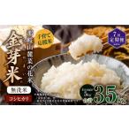 米 コシヒカリ 7回定期便 子育て応援米 令和7年産