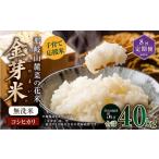 米 コシヒカリ 8回定期便 子育て応援米 令和7年産
