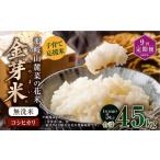 米 コシヒカリ 9回定期便 子育て応援米 令和7年産