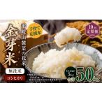 米 コシヒカリ 10回定期便 子育て応援米