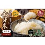 米 コシヒカリ 11回定期便 子育て応援米