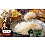 米 コシヒカリ 12回定期便 子育て応援米