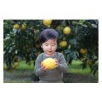 ふるさと納税 みかん・柑橘類 高知県 宿毛市 小野果樹園の文旦 家庭用大玉 4L~5L 5kg