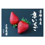 ふるさと納税 いちご 京都府 亀岡市 高級いちご 定期便 3回 完熟 朝採れ 1箱 約450g 小島農園 紅ほっぺ おいCベリー スターナイトから厳選してお届け 期間限定…