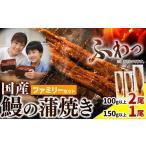 うなぎ 訳あり 鰻の蒲焼 ファミリーセット 100g以上