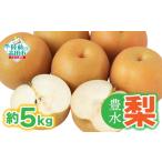梨 豊水 約 5kg