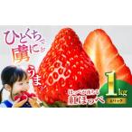いちご 紅ほっぺ M~3L ×4パック 約1kg