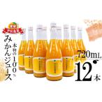 果汁飲料 みかん みかんジュース 本物の100%みかんジュース…