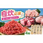 牛肉 炒め物 通常発送 ミンチ付き 三栄のデイリーセット