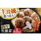 fu.... налог овощи вид .. . префектура Аичи Seto город 10 месяц c последовательный отправка мясо толщина сырой ..(. пол ) примерно 1kg |.... шиитаке .. . грибы ..| Seto город | Flat fi...