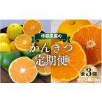 仲森農園の柑橘定期便 合計3種