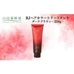 美容 RJヘアカラートリートメント ダークブラウン 210g