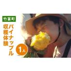 fu.... налог body . билет Okinawa префектура бамбук . блок ананас .. body .1 название освежение . утро день .... среди. открытие (4 месяц 25 день ~6 месяц 15 день открытие ) 1 название 