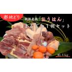 鶏肉 セット 都地どり おうはん まるごと1羽セット