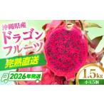 果物類 ドラゴンフルーツ 小玉 1.5kg