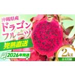 果物類 ドラゴンフルーツ 小玉 2kg
