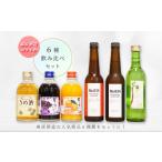 お酒 リキュール 麻原酒造 6種飲み比べセット