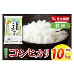 ふるさと納税 米 コシヒカリ 茨城県 阿見町  4ヶ月定期便 茨城県産コシヒカリ　精米　10kg｜精米 定期便 お米 米 こめ コメ ごはん 白米 阿見町 茨城県 茨城県…