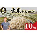 ふるさと納税 玄米 静岡県 牧之原市  先行予約 2026年産 玄米 ひとめぼれ 10kg 予約受付 9月中旬より順次発送 数量限定 期間限定 令和8年度産 お米 白米 新米 …