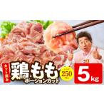 鶏もも肉 切身 5kg