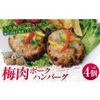 豚肉 ハンバーグ 上 R8年熊本地震復興支援