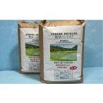 玄米 特別栽培米 能登コシヒカリ 5kg×2袋