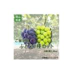 ぶどう 巨峰 2026年 訳あり NISSHOKU