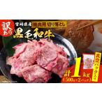 牛肉 焼肉 バーベキュー 訳あり 黒毛和牛 焼肉用