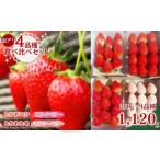 ふるさと納税 いちご 栃木県 矢板市 《2月上旬より順次出荷》｜栃木のいちご 4品種食べ比べデラックス | 1120g |とちあいか とちおとめ スカイベリー ミルキー…