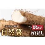 ふるさと納税 人参・大根・他根菜 福井県 南越前町  期間限定 訳あり 自然薯カット　サイズ不揃い　800g以上 とろろ 山芋 ヤマイモ 自然薯 とろろ お取り寄せ …