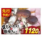 fu.... налог овощи вид .. . Ibaraki префектура . видеть блок предшествующий предварительный заказ 10 месяц отправка сырой ....1kg. сухой kino шт. в комплекте l.. иудино ухо ki медуза .... пудра (99-01)