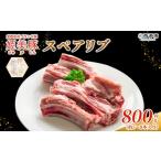 ひめびとん 豚肉 ブランド豚 骨付き肉 BBQ