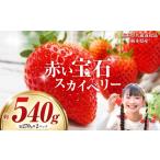 いちご 赤い宝石 スカイベリー 約270g×2パック