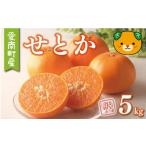 ふるさと納税 みかん・柑橘類 愛媛県 愛南町 数量限定 先行予約 訳あり せとか 5kg 10000円 わけあり setoka 高級 人気 ブランド プレミアム 産地直送 農家直…