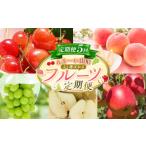 果物類 さくらんぼ 定期便5回 んま~い山形
