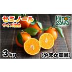 セミノール オレンジ 3kg