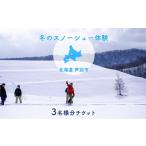 体験チケット 体験 冬季 スノーシュー 3枚